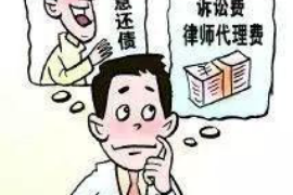 桐乡贷款清欠服务